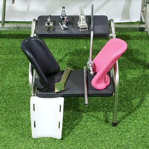 Gynecological Examination Bed and Accessories